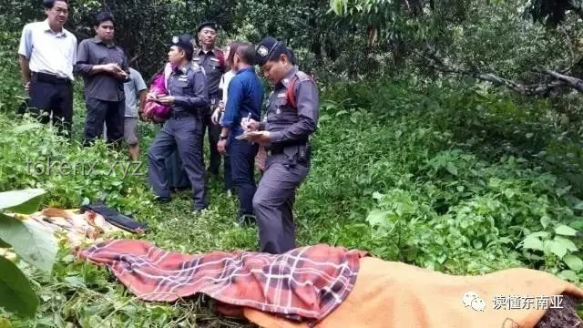 27岁女游客三亚遇蛇咬伤亡事件与旅游安全对比分析